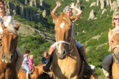 Kefalonia’s Horseriding Stable